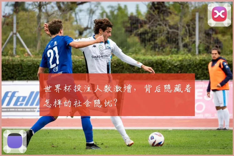 世界杯投注人数激增,背后隐藏着怎样的社会隐忧?