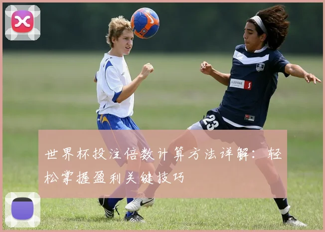 世界杯投注倍数计算方法详解：轻松掌握盈利关键技巧