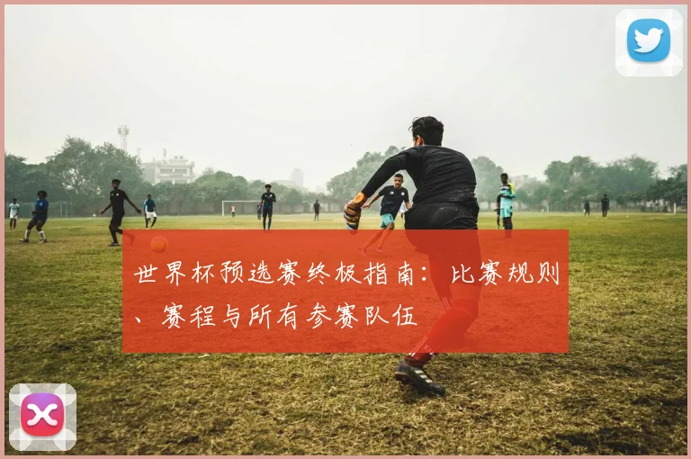 世界杯预选赛终极指南:比赛规则、赛程与所有参赛队伍
