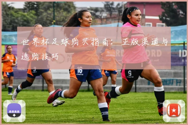 世界杯足球购买指南：正版渠道与选购技巧